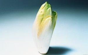 索引优化